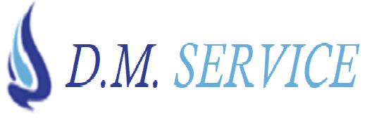 DmService